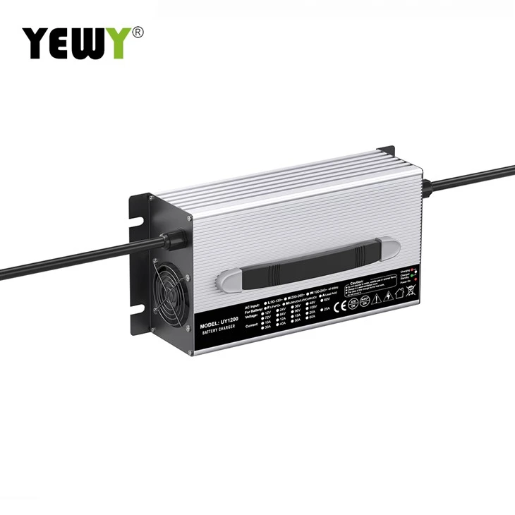 48v Golf Cart Battery Charger factory