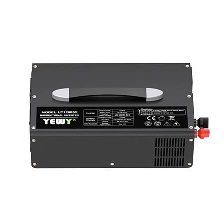 Charge-Inverter Integrated (6)